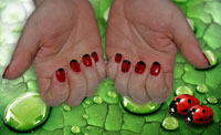 Ladybirds in Gelish - Click here to enlarge this image